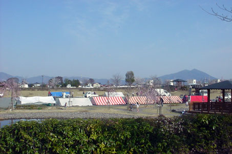 下館さくらまつりの準備風景