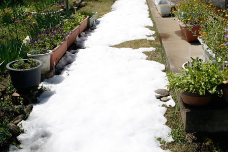 観測史上最も遅い積雪 [2010年4月17日撮影]