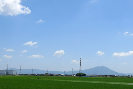 田植えが終わった市内田園風景 [2013年5月31日撮影]