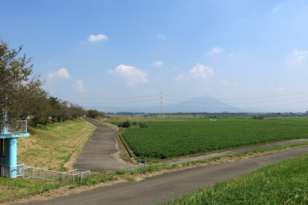 母子島遊水地 [2013年9月21日撮影]