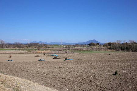 広くなった鬼怒川河川敷 [2014年3月22日撮影]