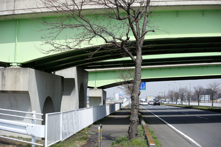 でかい鉄骨の梁で造られた岡芹高架橋 [2014年3月29日撮影]