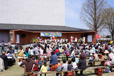 梨の花まつり [2014年4月13日撮影]