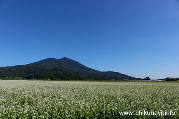 筑西市明野地区押尾・有田付近からの筑波山 [2017年9月29日撮影]