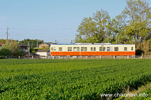 キハ2401号復刻塗装車両 [2021年4月18日撮影]