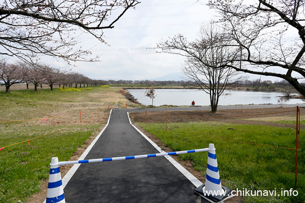 母子島遊水地の新しい遊歩道 [2023年3月21日撮影]