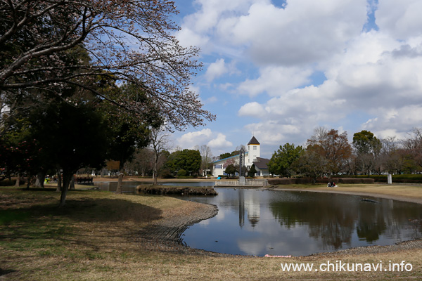 県西総合公園のさくら               [2023年3月21日撮影]