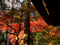 最勝寺の紅葉