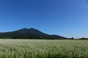 筑波山とそば畑