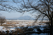 野殿・西方周辺の雪景色