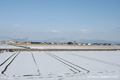 野殿・西方周辺の雪景色