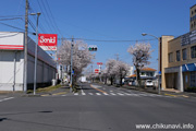 下館駅南のさくら　サンキ側