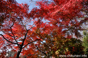 最勝寺の紅葉