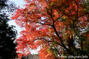 最勝寺の紅葉