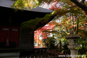 最勝寺の紅葉