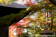 最勝寺の紅葉