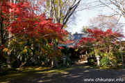 最勝寺の紅葉