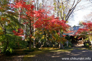 最勝寺の紅葉