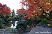 最勝寺の紅葉