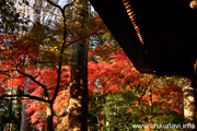 最勝寺の紅葉