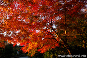 最勝寺の紅葉