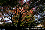 最勝寺の紅葉