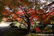 最勝寺の紅葉