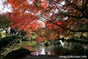 最勝寺の紅葉