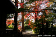 最勝寺の紅葉