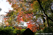 最勝寺の紅葉