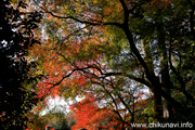 最勝寺の紅葉