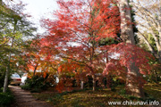 最勝寺の紅葉