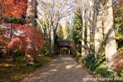 最勝寺の紅葉