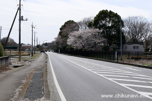 筑西市道の駅循環バス 県西総合公園 バス停留所