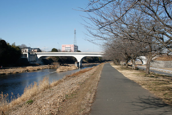 中館さくら大橋