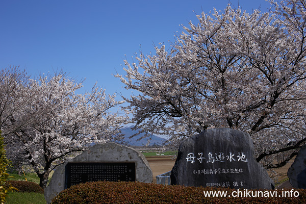 母子島遊水地