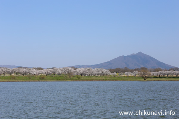 母子島遊水地