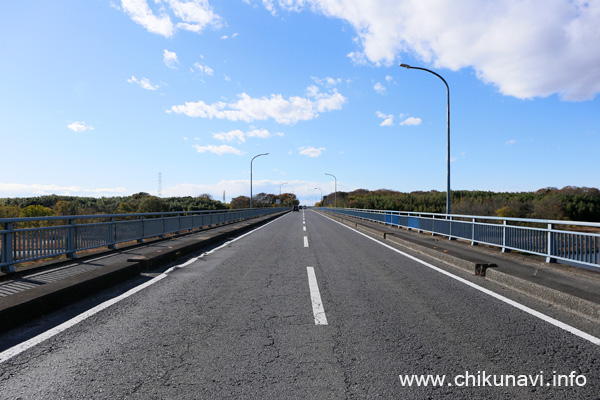 中島橋 (奥が小山市)