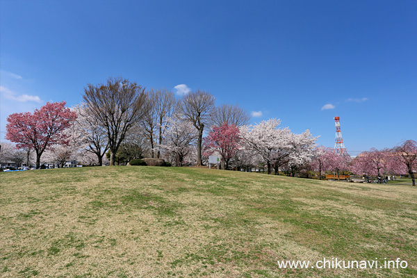 下岡崎近隣公園