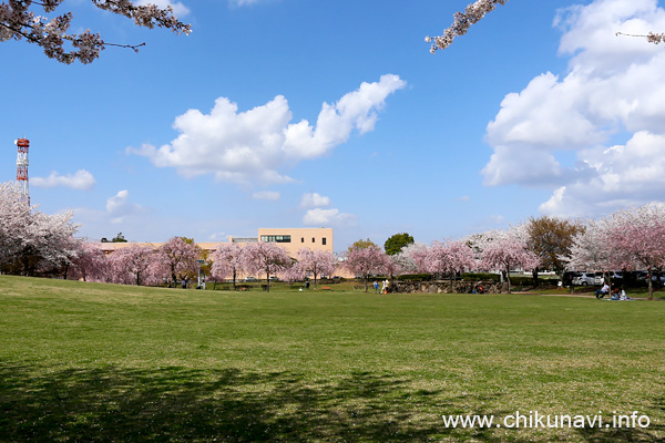 下岡崎近隣公園