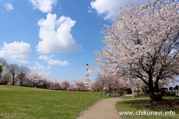 下岡崎近隣公園